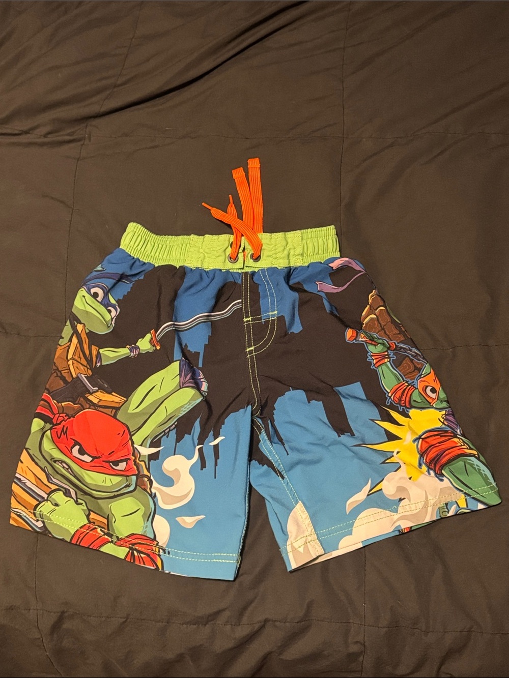 Boys Teenage Mutant Ninja Turtles Swim Trunks - Blue/Green/Orange